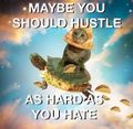 Maybe-you-should-hustle-as-hard-as-you-hate.jpg