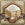 Item Icon Rice.png