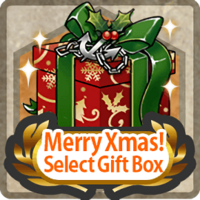 Item Card Xmas Select Gift Box.png